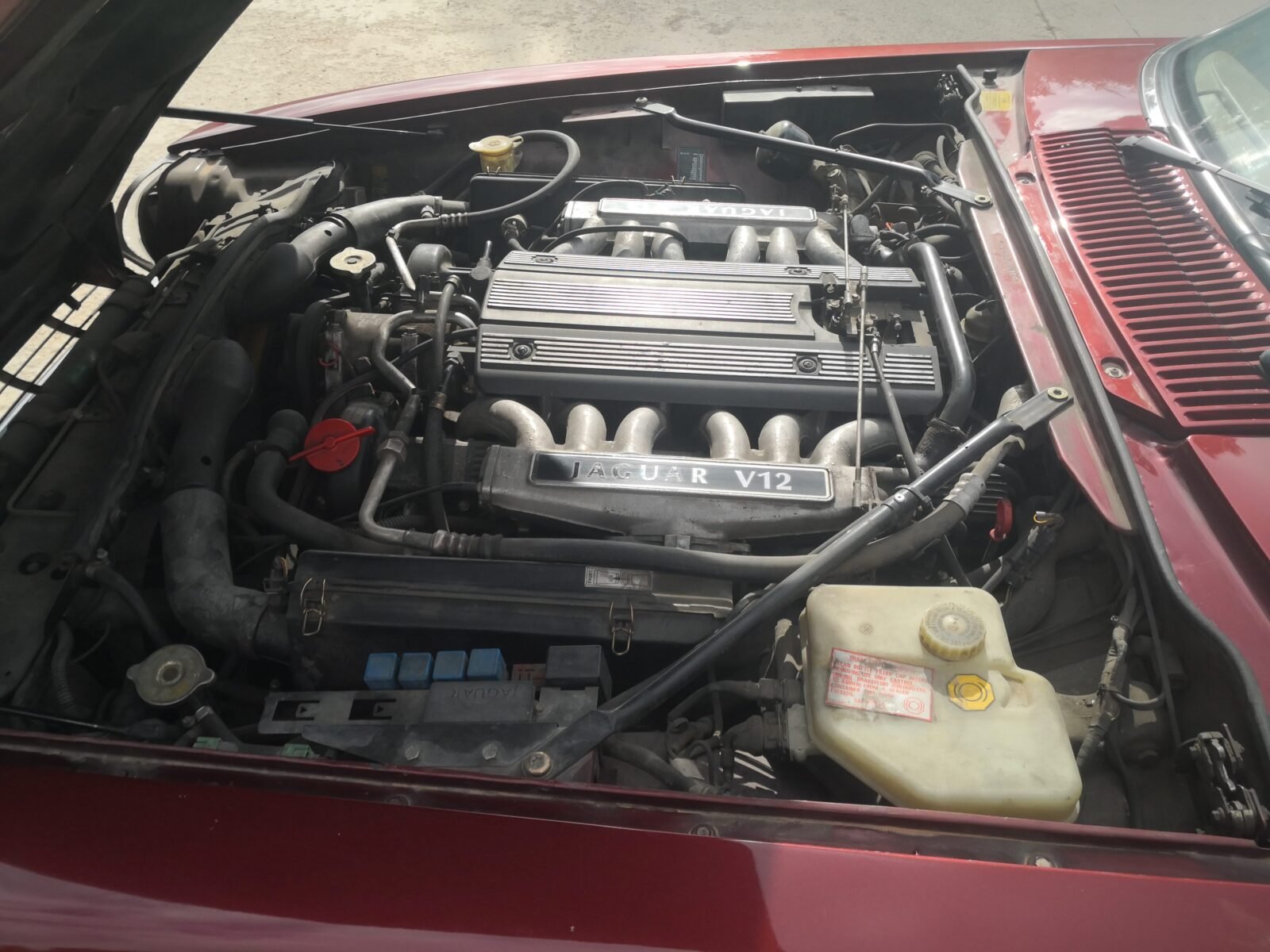 JAGUAR Xjs 6.0 V12