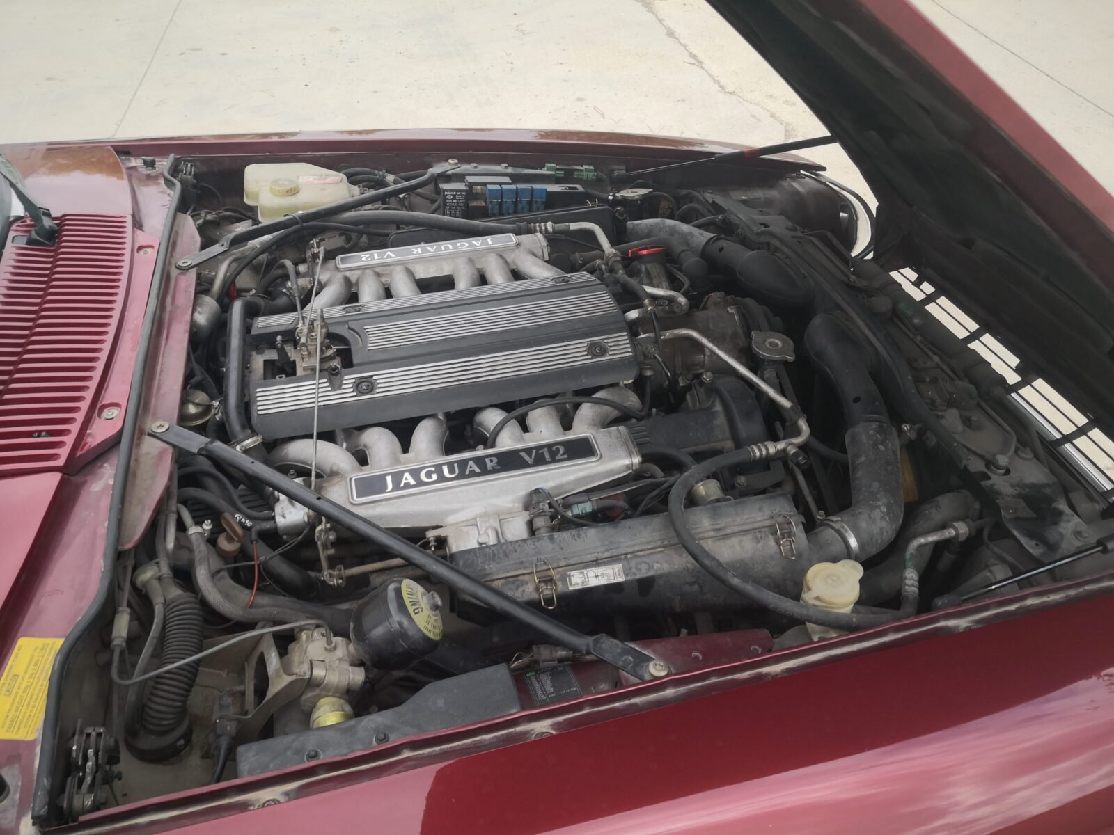 JAGUAR Xjs 6.0 V12